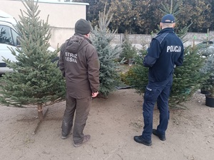 umundurowany policjant ze strażnikiem leśnym sprawdzają punkty sprzedaży choinek.