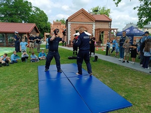 pokaz taktyk i technik interwencji.