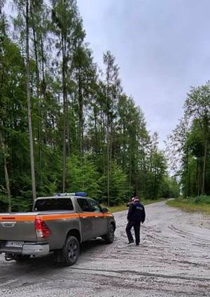 umundurowany policjant i strażnik leśny obserwują dukty leśne.