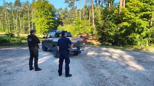 umundurowany policjant wraz z umundurowanym strażnikiem leśnym stoją obok samochodu leśników kontrolując dukty leśne.
