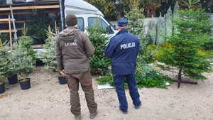 Umundurowany policjant ze strażnikiem leśnym podczas kontroli choinek.