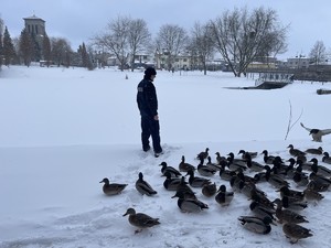 Umundurowany policjant i kaczki.